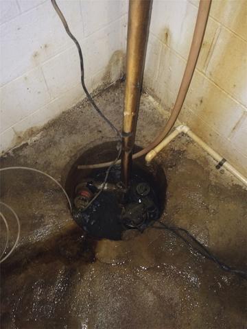 Gross Sump Pump in Portland, MI