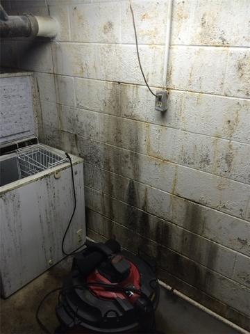 Mold and Muck in Portland, MI Basement Corner