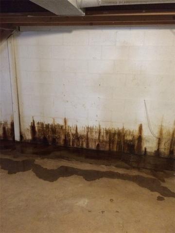 Water Causes Mold in Portland Basement