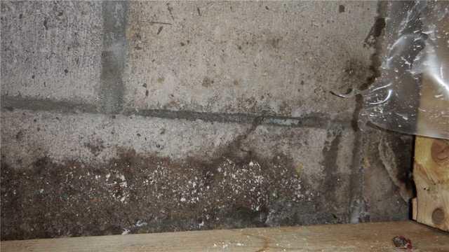 Close-up of Water Damage on Block Wall