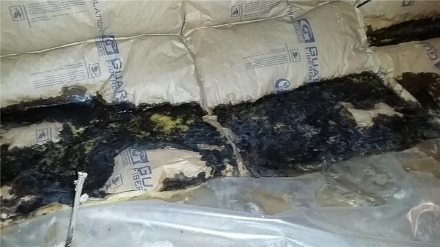 Mold and Muck in Mason Crawl Space