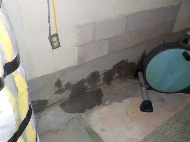 Water Damage in Evart Basement