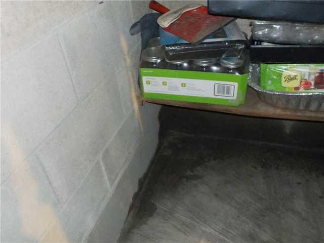 Water Issues Lead to Gross Basement