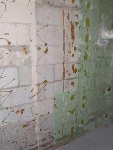 Water Damaged Wall in Greenville Basement