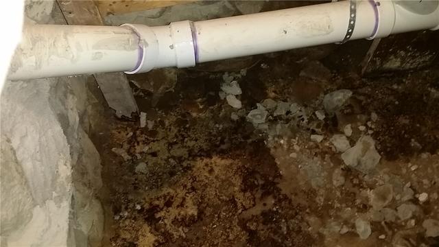 There isn't much floor to speak of in this basement, and what's in tact is riddled with mold.