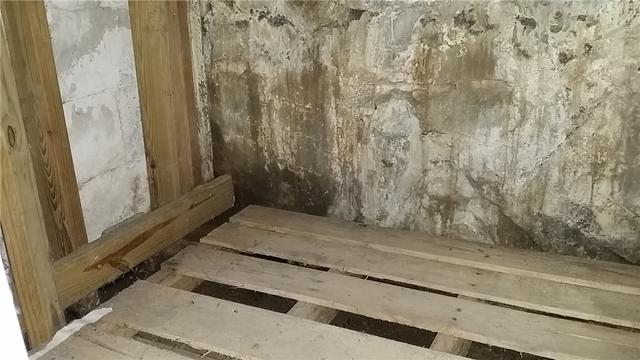 Large swaths of discoloration point to water leaking through the walls in the area under the stairs. That dirt floor likely isn't helping the water problems.