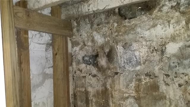 Mold and Water Damage in Milan Basement