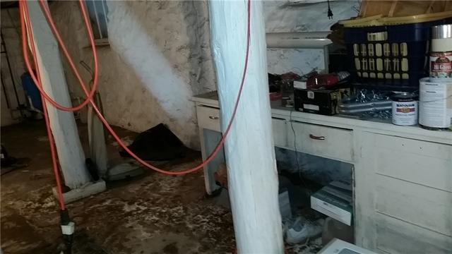 Heavy Mold and Water Damage on Basement Floor