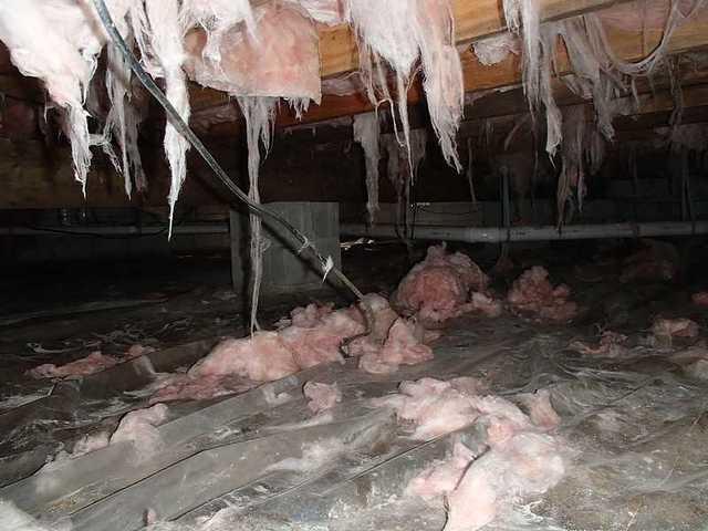 Crawl Space Before