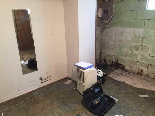 Mold and Water Damage in Basement