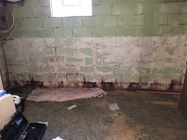 Major Mold Problem in Grand Rapids Basement