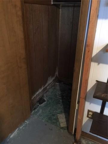 Black mold doesn't get to have all the fun - white mold goes after the wood paneling in this closet.