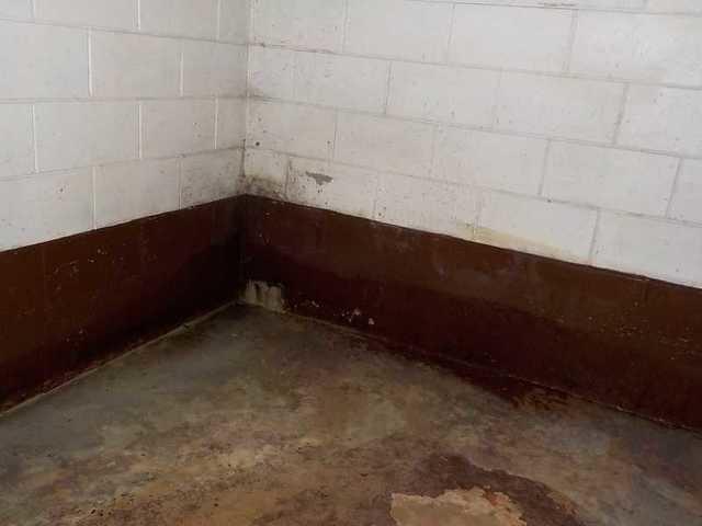 Mold and Water Damage in Basement