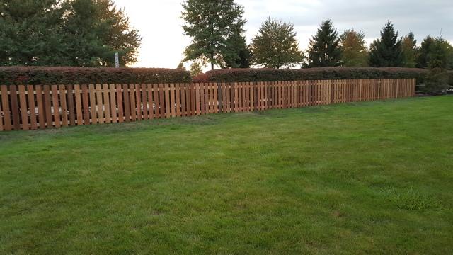 This is a photo of the completed cedar picket fence.