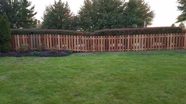 Front View of Cedar Picket Fence