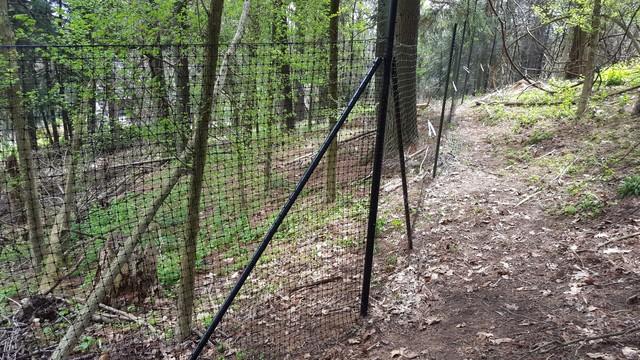 Deer Fencing Installation