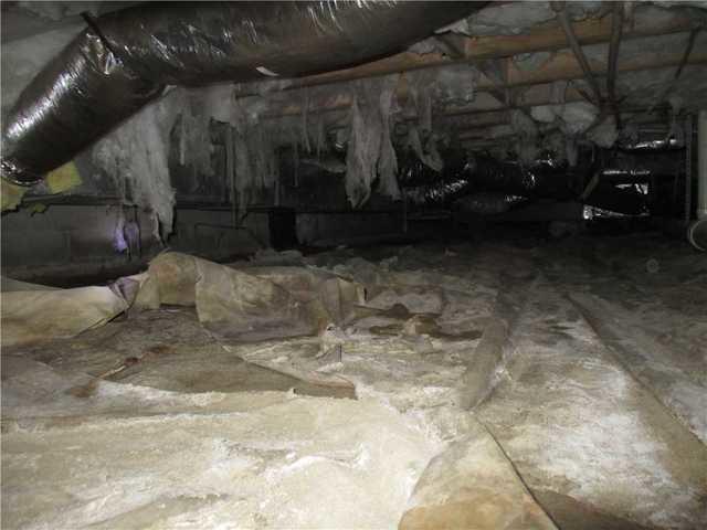 Nasty Crawl Space