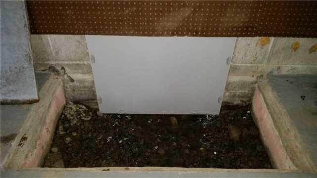 New Door