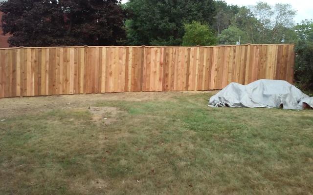 Cedar Fence