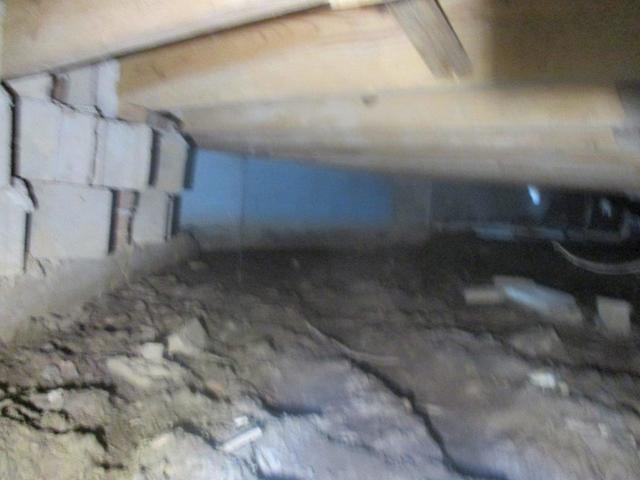 Overview of Moldy Crawlspace