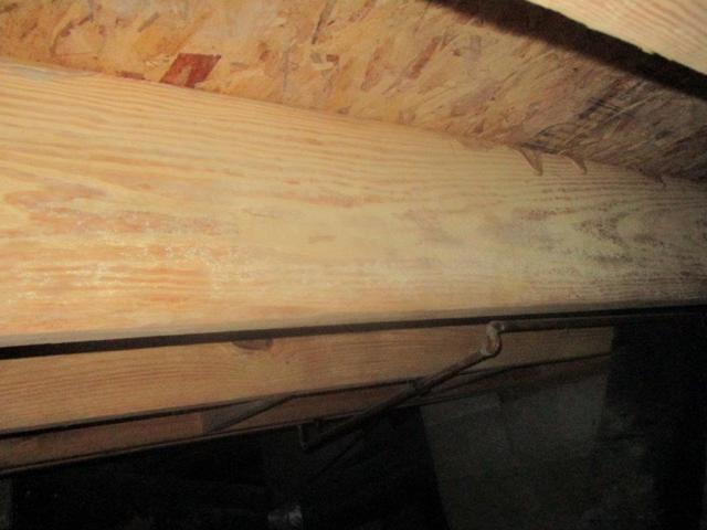 Mold Growing on wooden subfloor beams