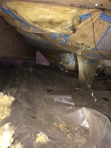 Crawl Space Wreaks Havoc on Home