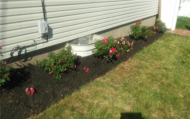 New Basement Window Well