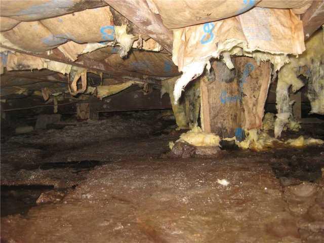 Flooded Crawl Space