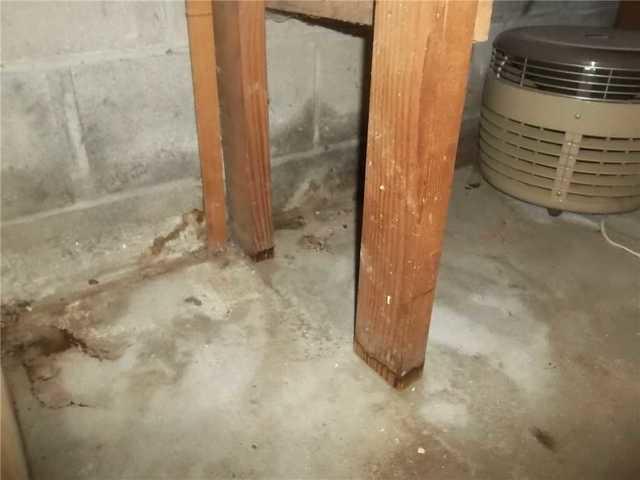 Water Damage on Walls and Furniture