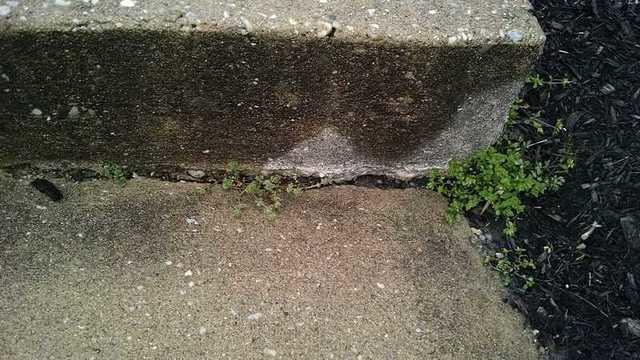 Before Sealing the Crack