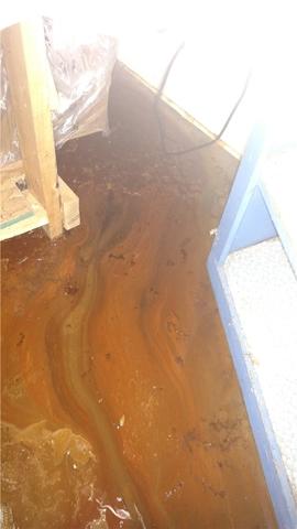 Iron Ochre in Basement Leak