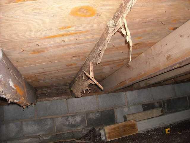 Completely destroyed floor joist