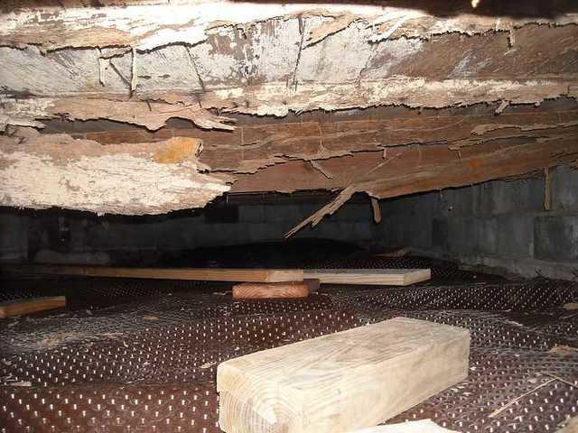 Long view of the damage