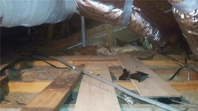 This attic had little to no insulation in it before CEC was hired to blow in the new insulation