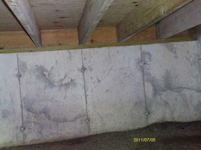 Water and Mold Damage on Crawl Space Walls