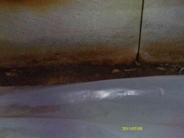 Hidden Mold in Crawl Space