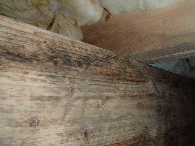 Up close on the wood under the home