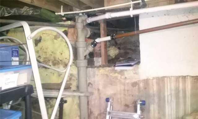 Mold and Peeling Paint on Crawl Space Wall