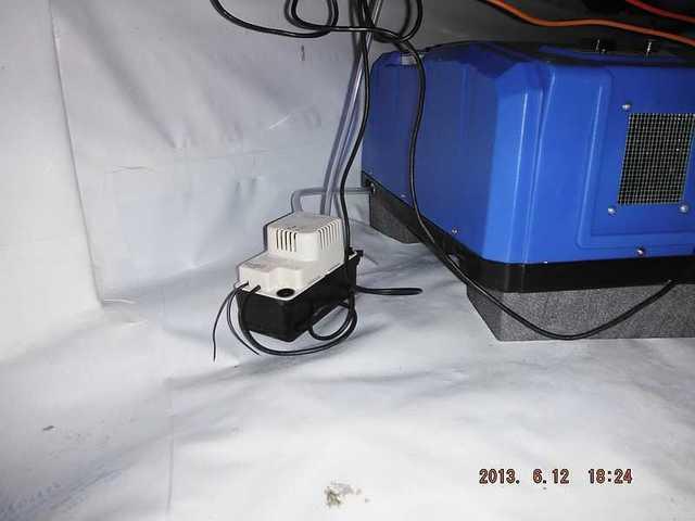 SaniDry CX , A Strong Dehumidifier for a Crawl Space in Millsboro, DE Home
