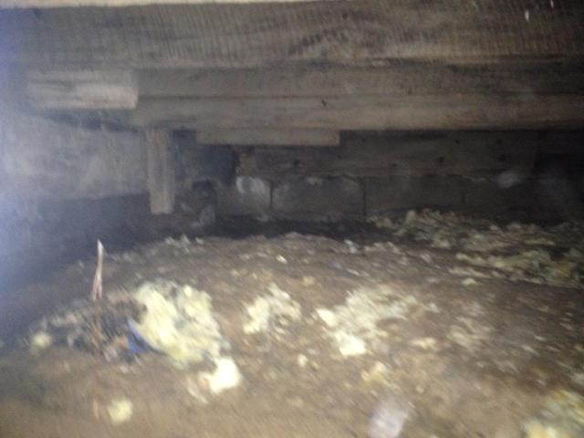 Dirt floor