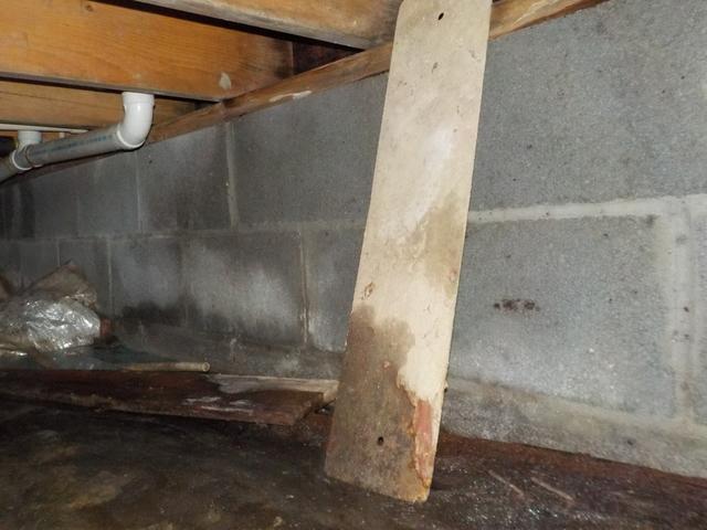 Moisture in crawl space