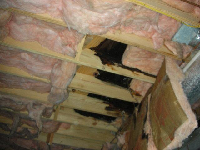Wood Deterioration