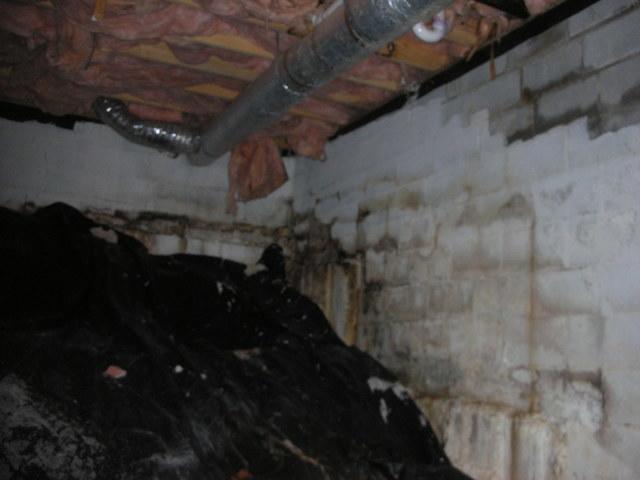 Dirty, musty crawl space