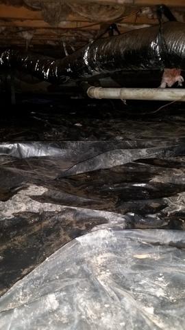 Water in the crawl space