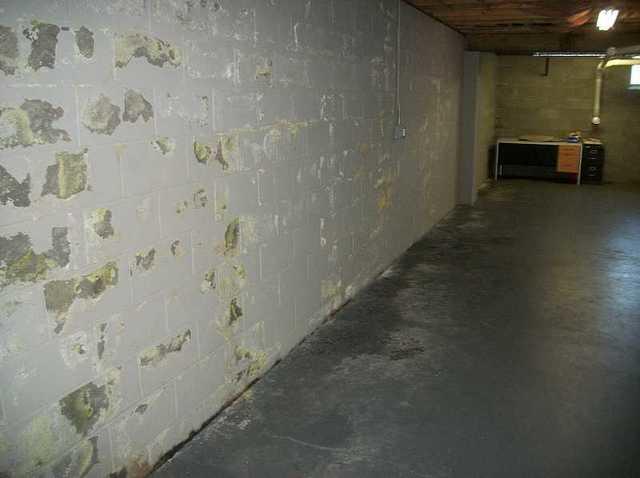 Paint peeling off of the basement walls