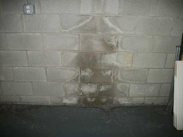 Another sign of water vapor penetrating the basement walls