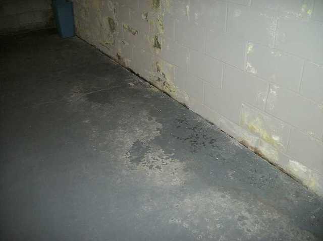 Water stains on the basement floor