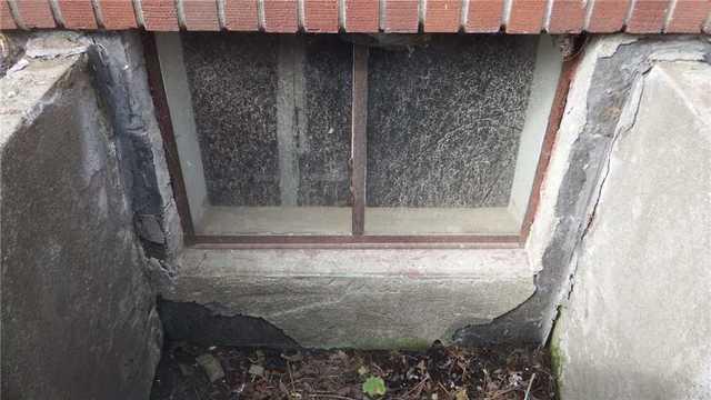 Visible cracks between the window/foundation and the window well (particularly on the right side) show a point of entry, and the degrading of the concrete points to long term standing water.