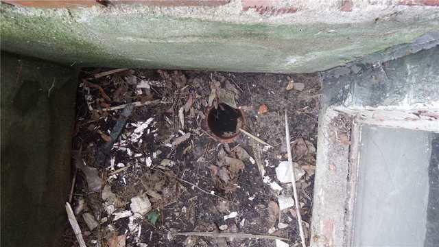 Closeup of Window Well Drain