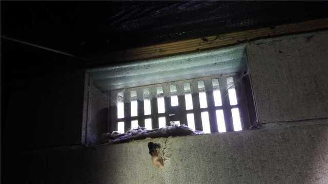 Crawl Space Vents Encourage Water and Nightmares